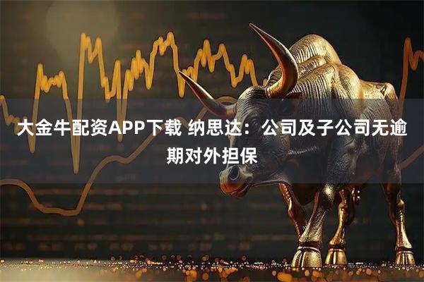 大金牛配资APP下载 纳思达：公司及子公司无逾期对外担保