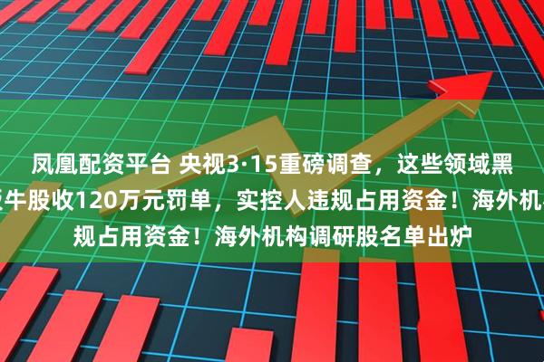 凤凰配资平台 央视3·15重磅调查，这些领域黑幕重重！七天六板牛股收120万元罚单，实控人违规占用资金！海外机构调研股名单出炉