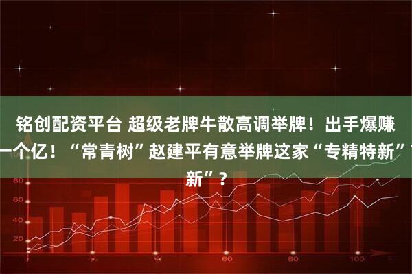 铭创配资平台 超级老牌牛散高调举牌！出手爆赚一个亿！“常青树”赵建平有意举牌这家“专精特新”？