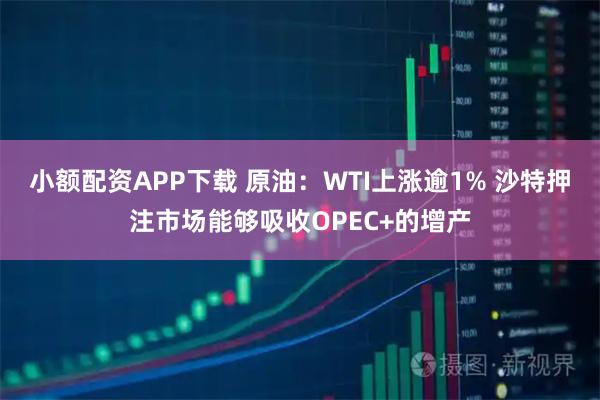 小额配资APP下载 原油：WTI上涨逾1% 沙特押注市场能够吸收OPEC+的增产