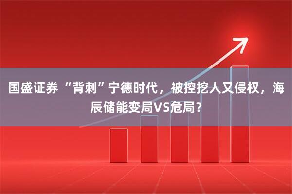 国盛证券 “背刺”宁德时代，被控挖人又侵权，海辰储能变局VS危局？
